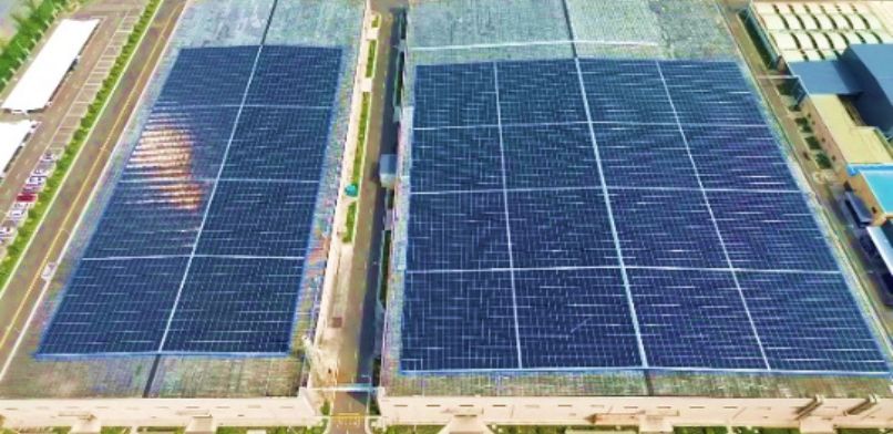 Weifang Project